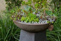 Small Garden Design Kew