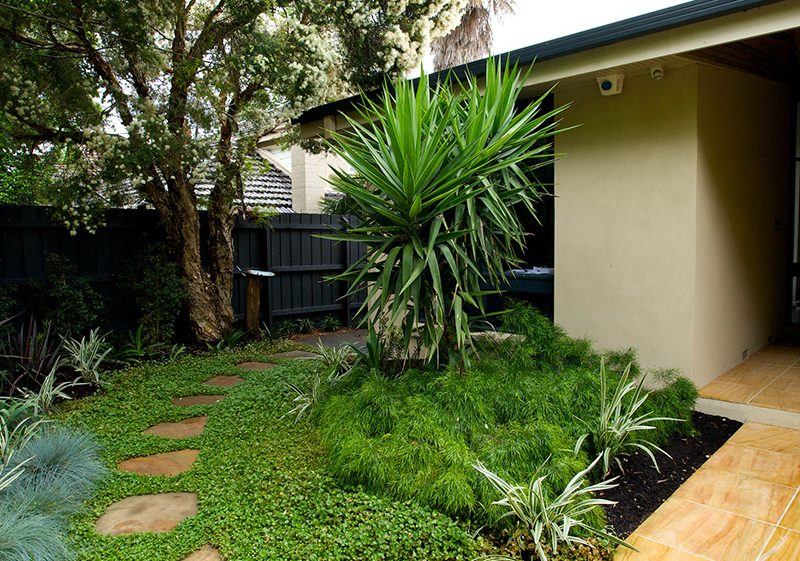 landscaping box hill